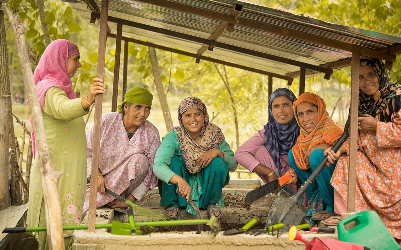 Occupational and Agricultural Rehabilitation of Flood Affected Households in Kashmir