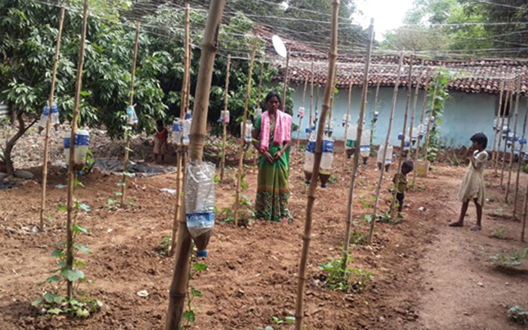 Low cost drip irrigation in drought prone areas: use of single used plastic water bottle