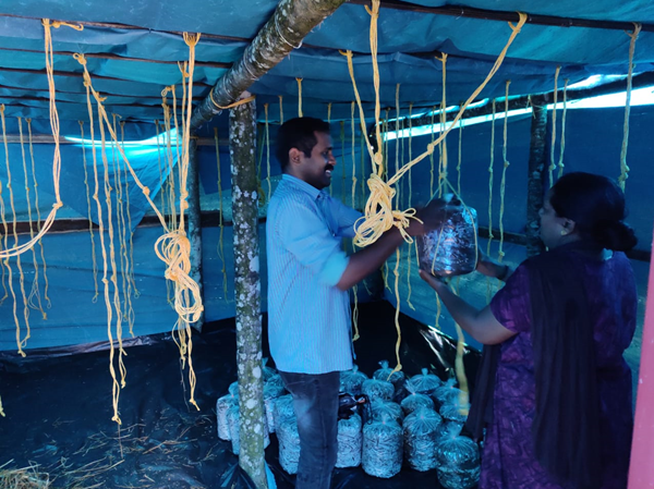 Donning double role of homemakers and entrepreneurs